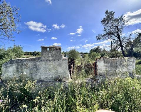Casa tradicional com charme de 129 m2 para renovar I Terreno de 7 755 m2 I No campo de Luz de Tavira