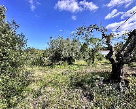 Casa tradicional com charme de 129 m2 para renovar I Terreno de 7 755 m2 I No campo de Luz de Tavira