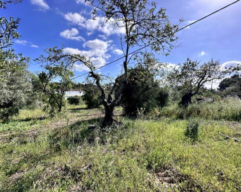 Casa tradicional com charme de 129 m2 para renovar I Terreno de 7 755 m2 I No campo de Luz de Tavira