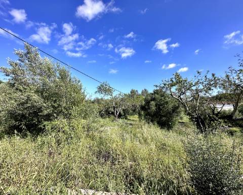 Casa tradicional com charme de 129 m2 para renovar I Terreno de 7 755 m2 I No campo de Luz de Tavira