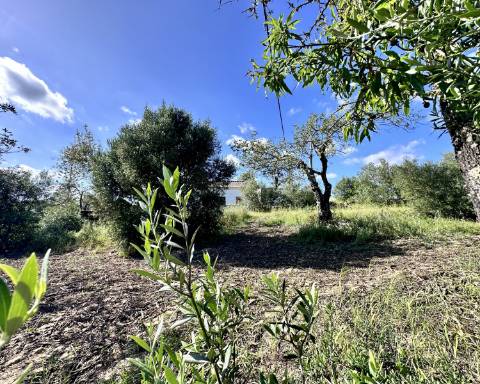 Casa tradicional com charme de 129 m2 para renovar I Terreno de 7 755 m2 I No campo de Luz de Tavira