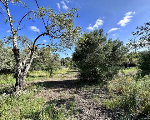Casa tradicional com charme de 129 m2 para renovar I Terreno de 7 755 m2 I No campo de Luz de Tavira