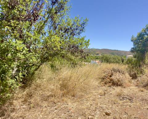 Traditional house in ruins I To renovate I 352 m2 I 3,250 m2 plot I Querença, Loulé