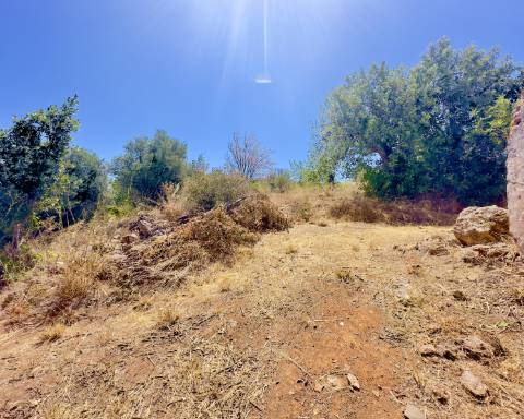 Traditional house in ruins I To renovate I 352 m2 I 3,250 m2 plot I Querença, Loulé