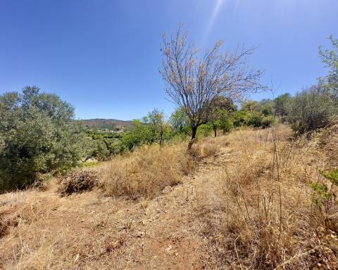 Traditional house in ruins I To renovate I 352 m2 I 3,250 m2 plot I Querença, Loulé