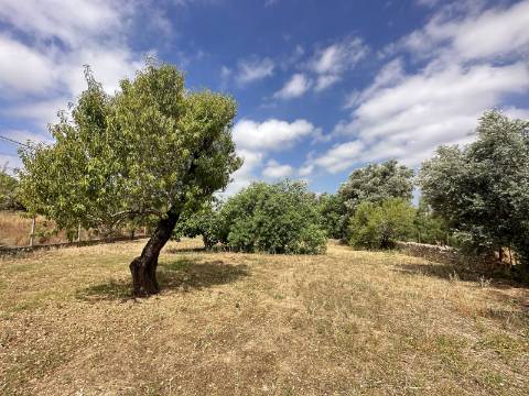 Espaçosa moradia renovada de 294 m2 | 4 quartos em suite | 1 piso | Piscina | Terreno de 2 440 m2 | Paderne, Albufeira.