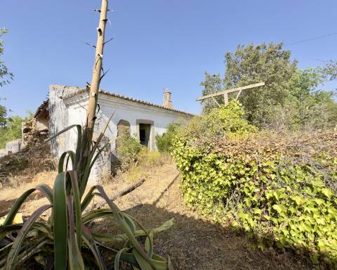 Grande quinta em ruínas para renovar integralmente I 288 m2 I Terreno de 11 815 m2 I São Bras de Alportel