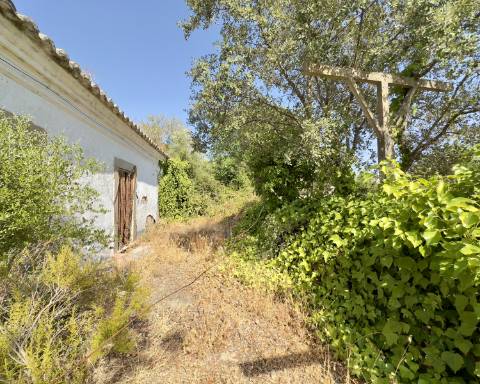 Grande quinta em ruínas para renovar integralmente I 288 m2 I Terreno de 11 815 m2 I São Bras de Alportel