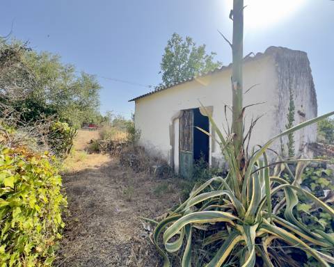 Grande quinta em ruínas para renovar integralmente I 288 m2 I Terreno de 11 815 m2 I São Bras de Alportel