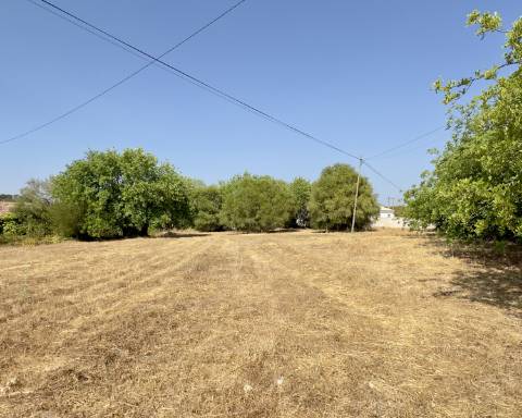 Grande quinta em ruínas para renovar integralmente I 288 m2 I Terreno de 11 815 m2 I São Bras de Alportel