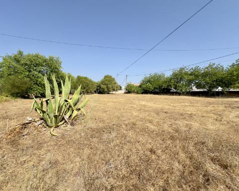 Grande quinta em ruínas para renovar integralmente I 288 m2 I Terreno de 11 815 m2 I São Bras de Alportel