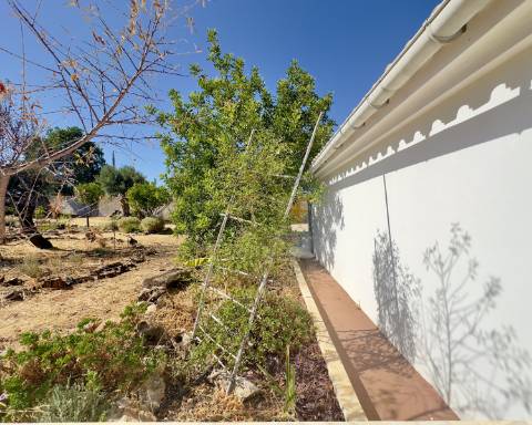 Magnífica propriedade I Casa térrea com 3 quartos I terreno com 5260 m2 I Paderne I Albufeira