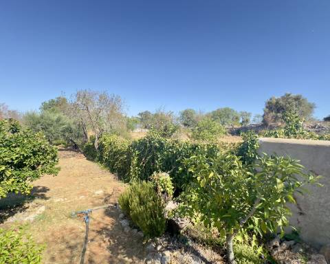 Magnífica propriedade I Casa térrea com 3 quartos I terreno com 5260 m2 I Paderne I Albufeira