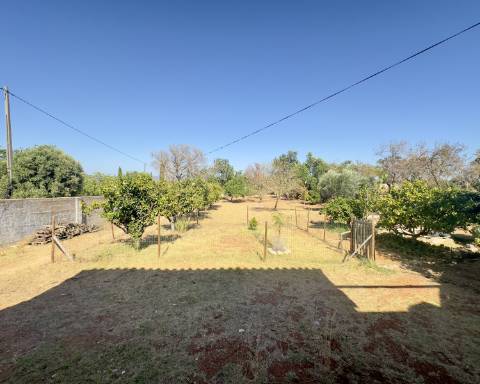 Magnífica propriedade I Casa térrea com 3 quartos I terreno com 5260 m2 I Paderne I Albufeira