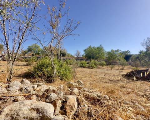 Magnífica propriedade I Casa térrea com 3 quartos I terreno com 5260 m2 I Paderne I Albufeira