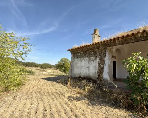 UNICO! Antiga escola primária para renovar I Projeto aprovado I 3 quartos I Piscina I Alentejo I Torre de Coelheiros I Évora