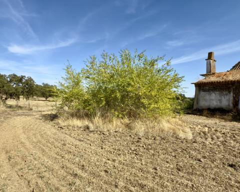 UNICO! Antiga escola primária para renovar I Projeto aprovado I 3 quartos I Piscina I Alentejo I Torre de Coelheiros I Évora