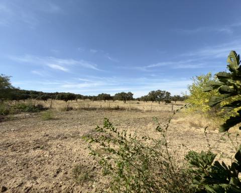 UNICO! Antiga escola primária para renovar I Projeto aprovado I 3 quartos I Piscina I Alentejo I Torre de Coelheiros I Évora