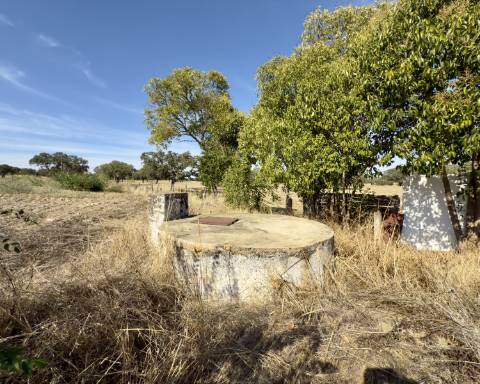 UNICO! Antiga escola primária para renovar I Projeto aprovado I 3 quartos I Piscina I Alentejo I Torre de Coelheiros I Évora
