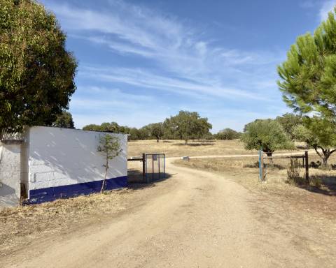 UNICO! Antiga escola primária para renovar I Projeto aprovado I 3 quartos I Piscina I Alentejo I Torre de Coelheiros I Évora