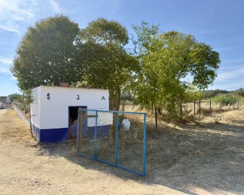 UNICO! Antiga escola primária para renovar I Projeto aprovado I 3 quartos I Piscina I Alentejo I Torre de Coelheiros I Évora