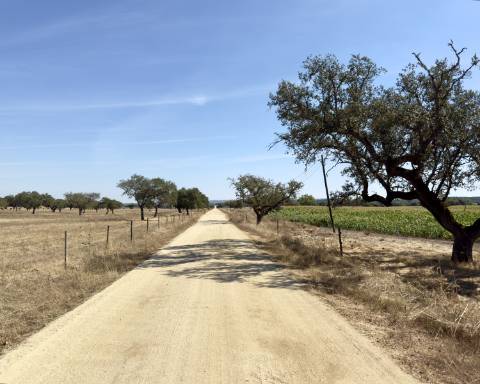 UNICO! Antiga escola primária para renovar I Projeto aprovado I 3 quartos I Piscina I Alentejo I Torre de Coelheiros I Évora