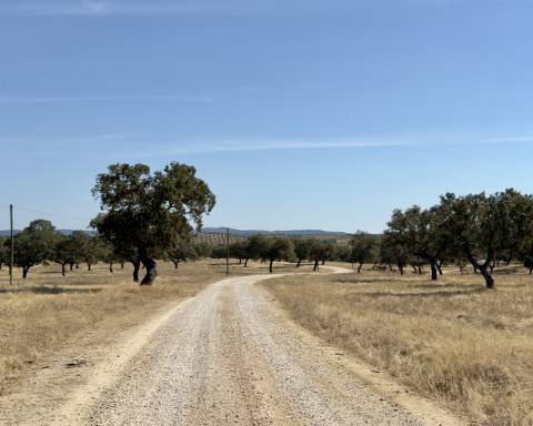 UNICO! Antiga escola primária para renovar I Projeto aprovado I 3 quartos I Piscina I Alentejo I Torre de Coelheiros I Évora