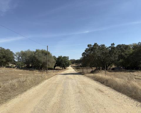 UNICO! Antiga escola primária para renovar I Projeto aprovado I 3 quartos I Piscina I Alentejo I Torre de Coelheiros I Évora