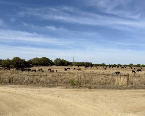 UNICO! Antiga escola primária para renovar I Projeto aprovado I 3 quartos I Piscina I Alentejo I Torre de Coelheiros I Évora
