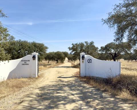 UNICO! Antiga escola primária para renovar I Projeto aprovado I 3 quartos I Piscina I Alentejo I Torre de Coelheiros I Évora