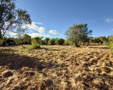 Belo terreno plano de 3.424 m² com projeto aprovado para a reconstrução de uma moradia térrea I 3 quartos I Piscina I Loulé