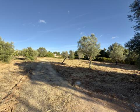 Belo terreno plano de 3.424 m² com projeto aprovado para a reconstrução de uma moradia térrea I 3 quartos I Piscina I Loulé