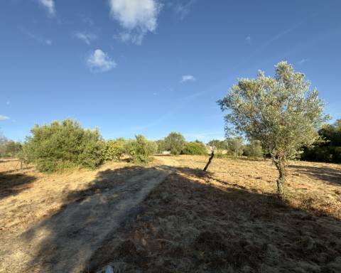 Belo terreno plano de 3.424 m² com projeto aprovado para a reconstrução de uma moradia térrea I 3 quartos I Piscina I Loulé