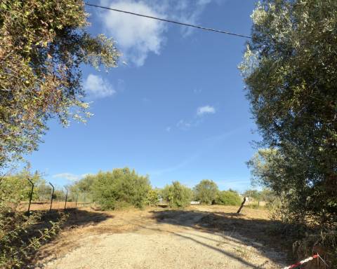 Belo terreno plano de 3.424 m² com projeto aprovado para a reconstrução de uma moradia térrea I 3 quartos I Piscina I Loulé