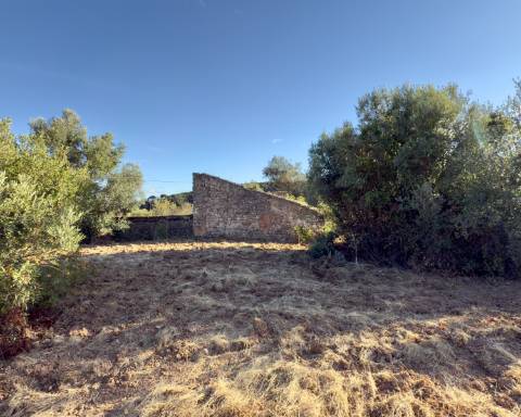 Belo terreno plano de 3.424 m² com projeto aprovado para a reconstrução de uma moradia térrea I 3 quartos I Piscina I Loulé