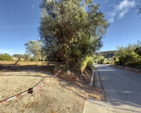 Belo terreno plano de 3.424 m² com projeto aprovado para a reconstrução de uma moradia térrea I 3 quartos I Piscina I Loulé