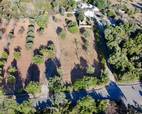 Belo terreno plano de 3.424 m² com projeto aprovado para a reconstrução de uma moradia térrea I 3 quartos I Piscina I Loulé