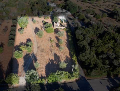 Belo terreno plano de 3.424 m² com projeto aprovado para a reconstrução de uma moradia térrea I 3 quartos I Piscina I Loulé
