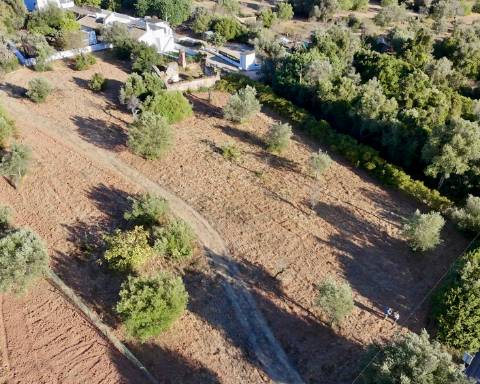 Belo terreno plano de 3.424 m² com projeto aprovado para a reconstrução de uma moradia térrea I 3 quartos I Piscina I Loulé