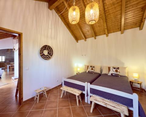 Linda casa típica do Alentejo I 2 quartos I Piscina I Terreno vedado com 3 290 m2 I São Domingos I Santiago do Cacém