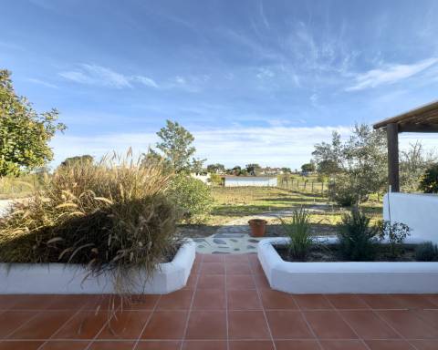 Linda casa típica do Alentejo I 2 quartos I Piscina I Terreno vedado com 3 290 m2 I São Domingos I Santiago do Cacém