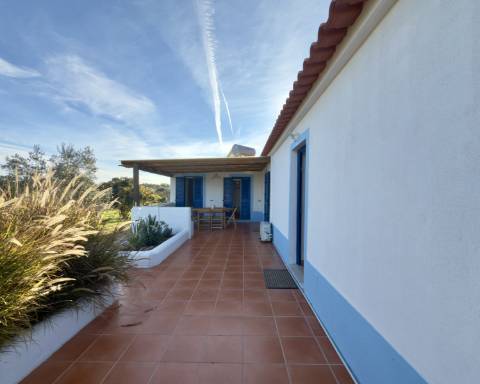 Linda casa típica do Alentejo I 2 quartos I Piscina I Terreno vedado com 3 290 m2 I São Domingos I Santiago do Cacém