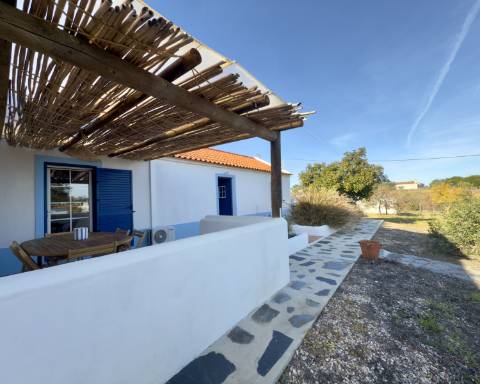 Linda casa típica do Alentejo I 2 quartos I Piscina I Terreno vedado com 3 290 m2 I São Domingos I Santiago do Cacém