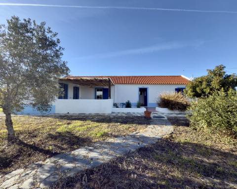 Linda casa típica do Alentejo I 2 quartos I Piscina I Terreno vedado com 3 290 m2 I São Domingos I Santiago do Cacém