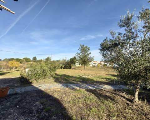 Linda casa típica do Alentejo I 2 quartos I Piscina I Terreno vedado com 3 290 m2 I São Domingos I Santiago do Cacém