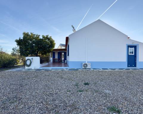 Linda casa típica do Alentejo I 2 quartos I Piscina I Terreno vedado com 3 290 m2 I São Domingos I Santiago do Cacém