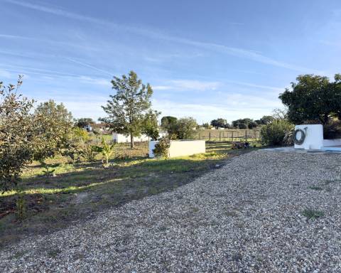 Linda casa típica do Alentejo I 2 quartos I Piscina I Terreno vedado com 3 290 m2 I São Domingos I Santiago do Cacém