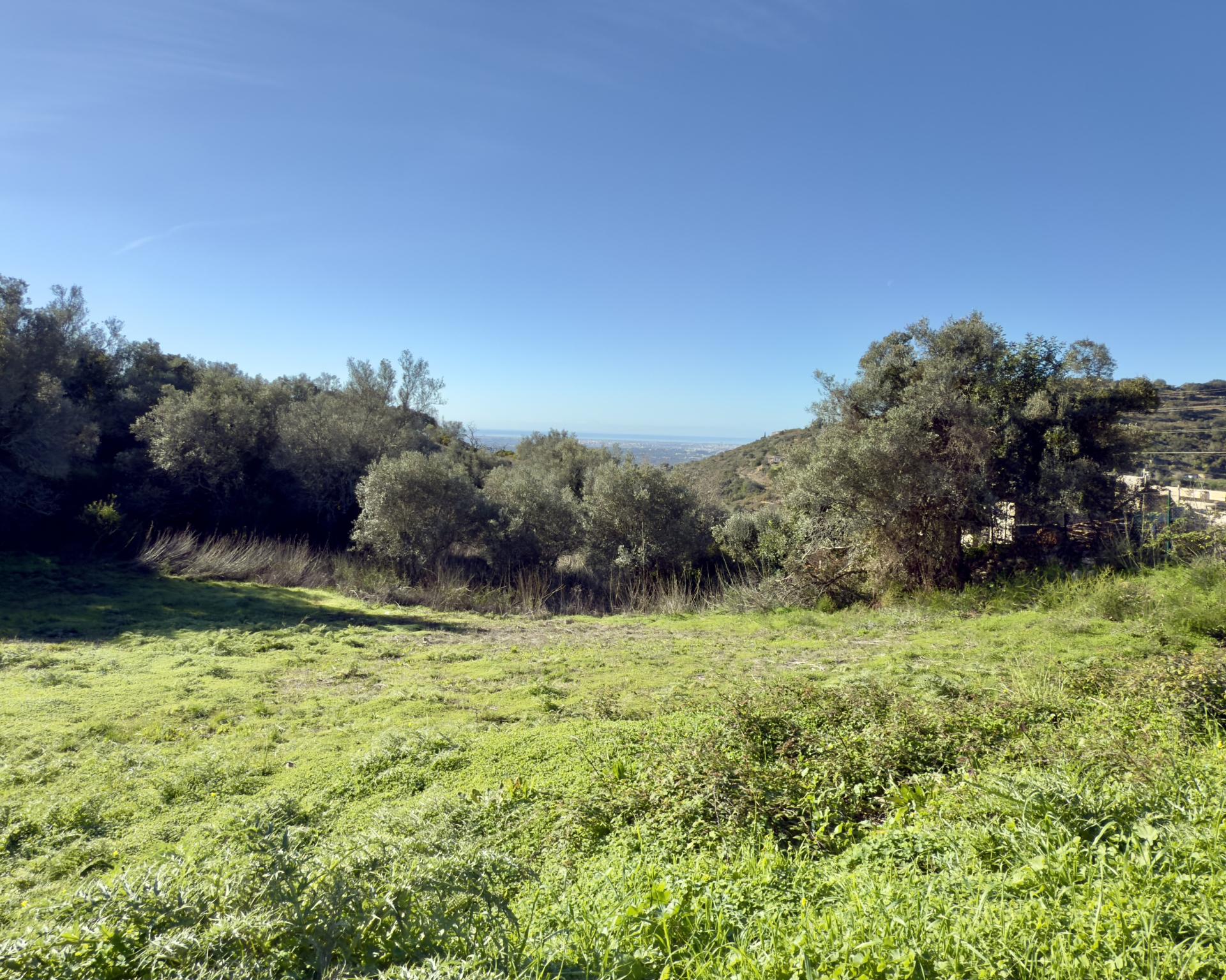 Terreno de 5900 m2 com projeto PIP para construção de uma moradia com 4 quartos I Maravilhosa vista mar I Estoi