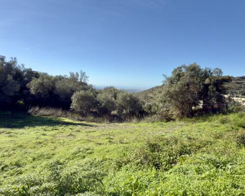 Terreno de 5900 m2 com projeto PIP para construção de uma moradia com 4 quartos I Maravilhosa vista mar I Estoi