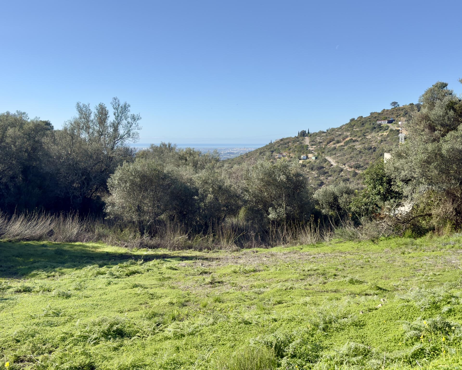 Terreno de 5900 m2 com projeto PIP para construção de uma moradia com 4 quartos I Maravilhosa vista mar I Estoi